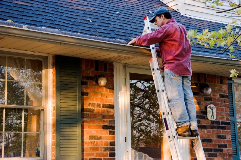 Gutter Covers on a Residential Roof